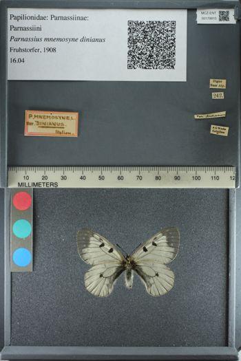 Media type: image;   Entomology 179910